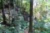 Filename=IMG_3207.JPG
Filesize=547KB
Dimensions=700x466
Date added=Jul 09, 2012 IMG_3207.JPG