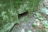 Filename=IMG_3256.JPG
Filesize=534KB
Dimensions=700x466
Date added=Jul 09, 2012 IMG_3256.JPG