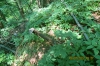 Filename=IMG_3290.JPG
Filesize=579KB
Dimensions=700x466
Date added=Jul 09, 2012 IMG_3290.JPG