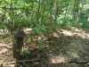 Filename=IMG_4070.jpg
Filesize=709KB
Dimensions=700x525
Date added=Jul 09, 2012 IMG_4070.jpg