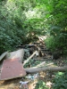 Filename=IMG_4081.jpg
Filesize=604KB
Dimensions=525x700
Date added=Jul 09, 2012 IMG_4081.jpg