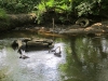 Filename=IMG_4166.jpg
Filesize=430KB
Dimensions=700x525
Date added=Jul 09, 2012 IMG_4166.jpg