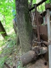 Filename=IMG_4176.jpg
Filesize=564KB
Dimensions=525x700
Date added=Jul 09, 2012 IMG_4176.jpg
