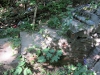 Filename=IMG_4182.jpg
Filesize=511KB
Dimensions=700x525
Date added=Jul 09, 2012 IMG_4182.jpg