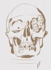 Filename=artom0.jpg
Filesize=108KB
Dimensions=449x600
Date added=Feb 04, 2012 artom0.jpg