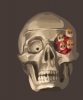 Filename=artom1.jpg
Filesize=75KB
Dimensions=419x500
Date added=Feb 04, 2012 artom1.jpg