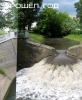 Filename=fel01.jpg
Filesize=417KB
Dimensions=577x700
Date added=Jun 04, 2010 fel01.jpg