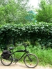Filename=fl01.jpg
Filesize=668KB
Dimensions=600x800
Date added=Jun 27, 2010 fl01.jpg