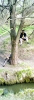 Filename=ft91.jpg
Filesize=273KB
Dimensions=273x800
Date added=May 02, 2010 ft91.jpg