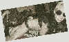 Filename=post08.gif
Filesize=220KB
Dimensions=700x433
Date added=Oct 10, 2009 post08.gif